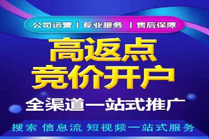 汽车行业SEM运营托管的典型案例分析
