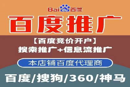 百度移动端应用推广策略探讨